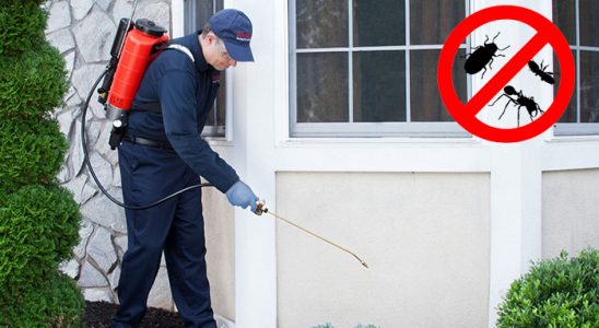 Seydiler Kemirgen İlaçlama böcek ilaçlama ve haşere kontrolü — ilaclama-tr.com